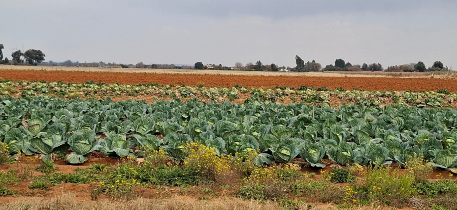 Commercial Property for Sale in Bainsvlei Free State